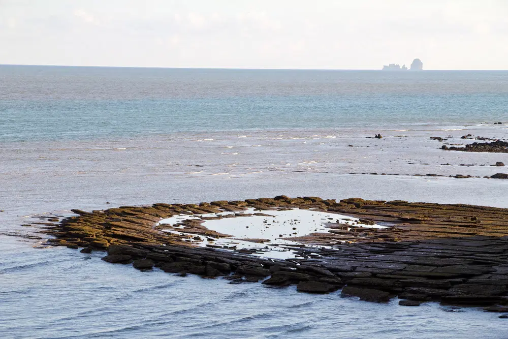 Explore the Fossil Shell Cemetery