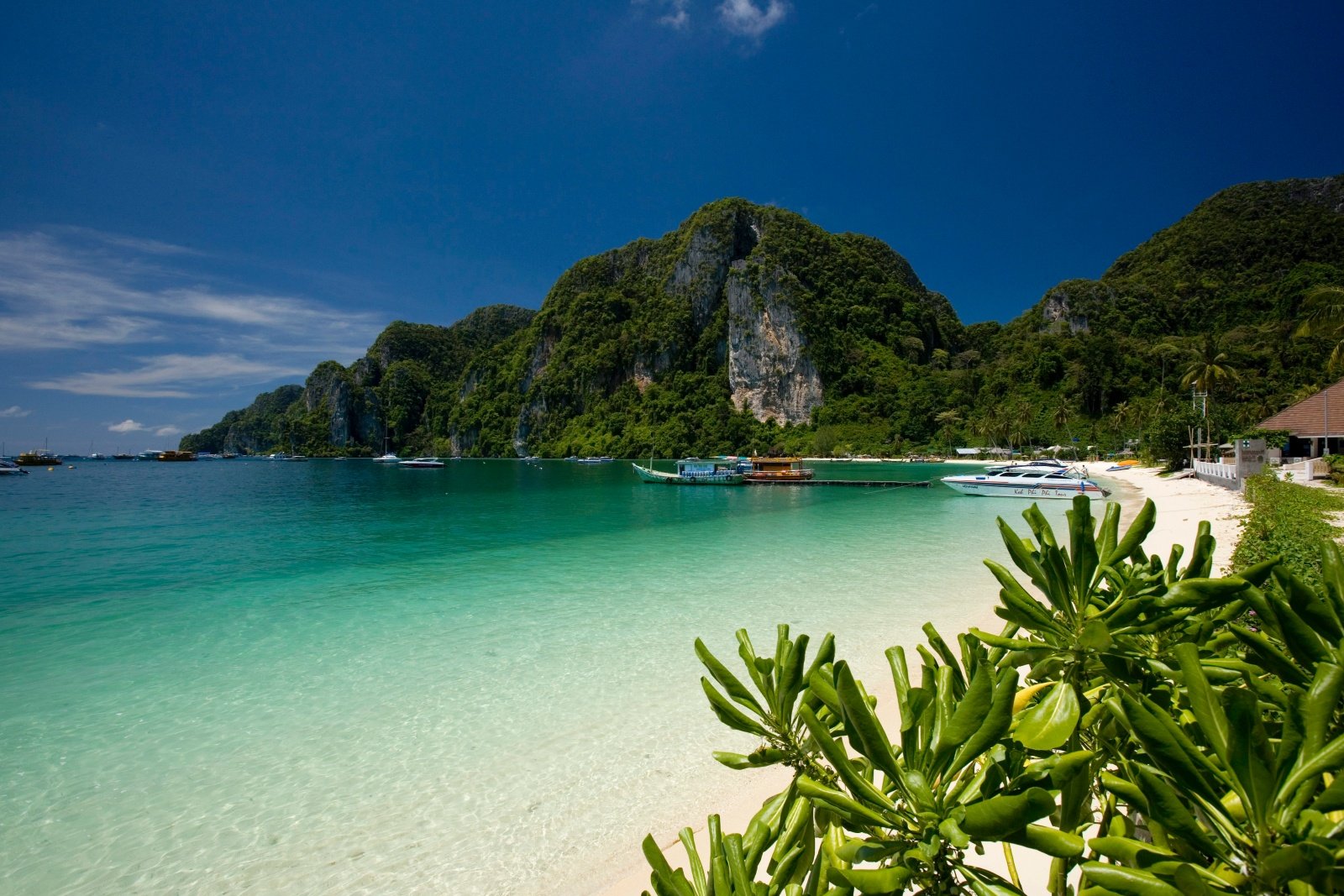 Ton Sai Bay,Phi Phi Don Island, Hat Noppharat Thara - Mu Ko Phi Phi Naitonal Marine Park, Krabi *** Local Caption *** à¸­à¹ˆà¸²à¸§à¸•à¹‰à¸™à¹„à¸—à¸£ à¹€à¸à¸²à¸°à¸žà¸µà¸žà¸µà¸”à¸­à¸™ à¸­à¸¸à¸—à¸¢à¸²à¸™à¹à¸«à¹ˆà¸‡à¸Šà¸²à¸•à¸´à¸«à¸²à¸”à¸™à¸žà¸£à¸±à¸•à¸™à¸˜à¸²à¸£à¸²-à¸«à¸¡à¸¹à¹ˆà¹€à¸à¸²à¸°à¸žà¸µà¸žà¸µ à¸ˆà¸±à¸‡à¸«à¸§à¸±à¸”à¸à¸£à¸°à¸šà¸µà¹ˆ