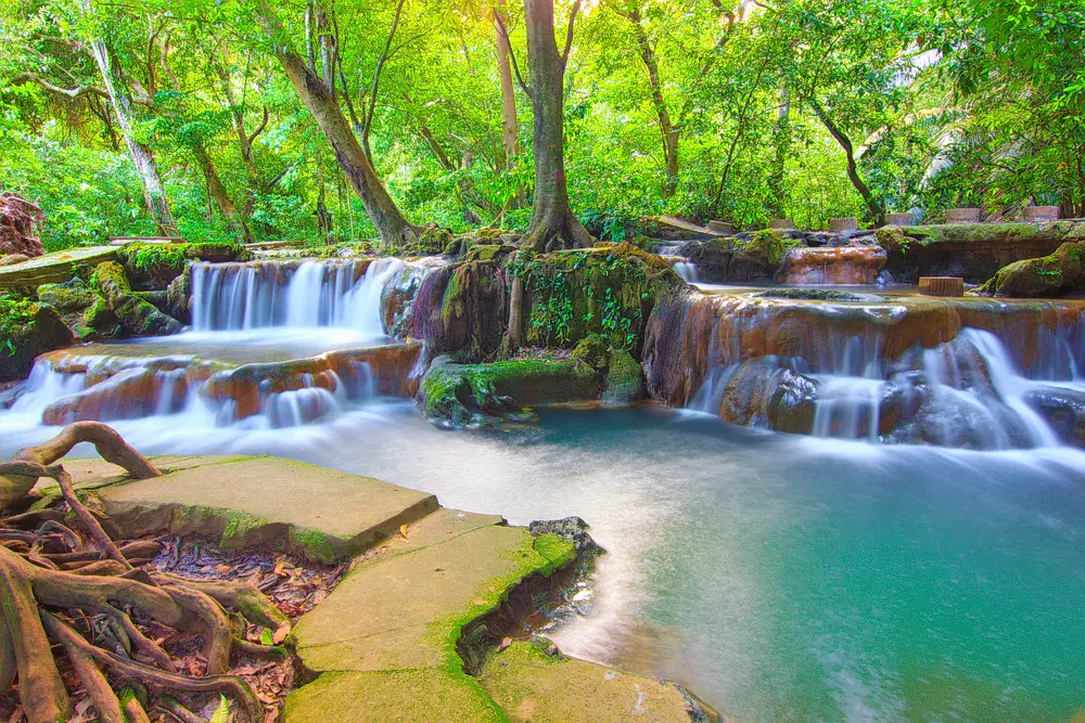 Than Bok Khorani National Park