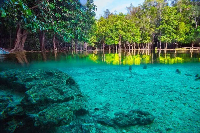 Thung Teao Forest Natural Park