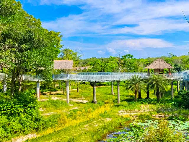 Phuket Elephant Sanctuary, Paklok, near Phuket Town